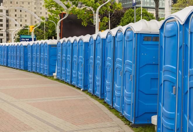 Seasonal porta potty units set up at a Kingston, New York State venue